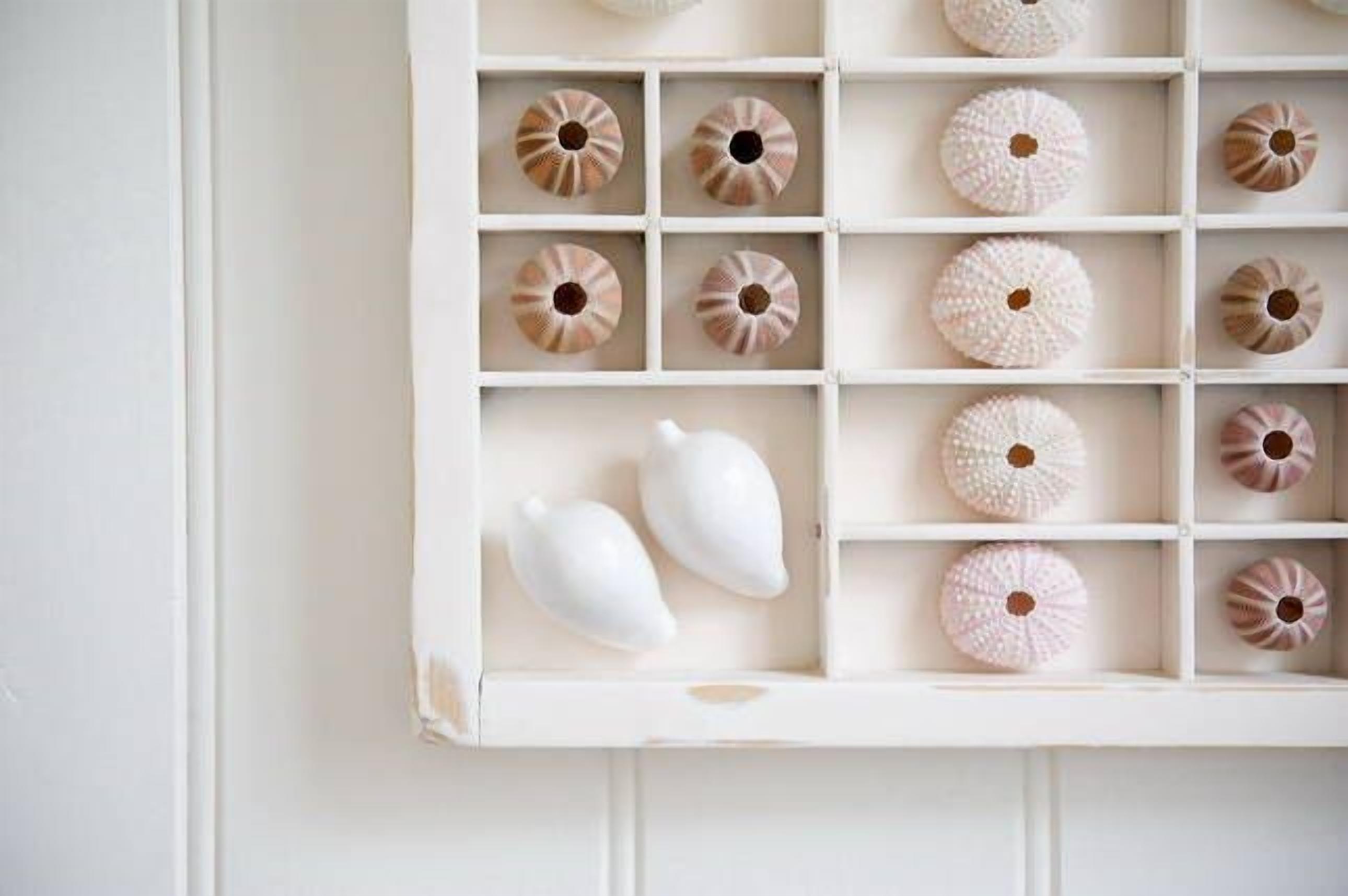 Boutique accommodation in historic beachfront cottage. Self-contained or B&B — image 11