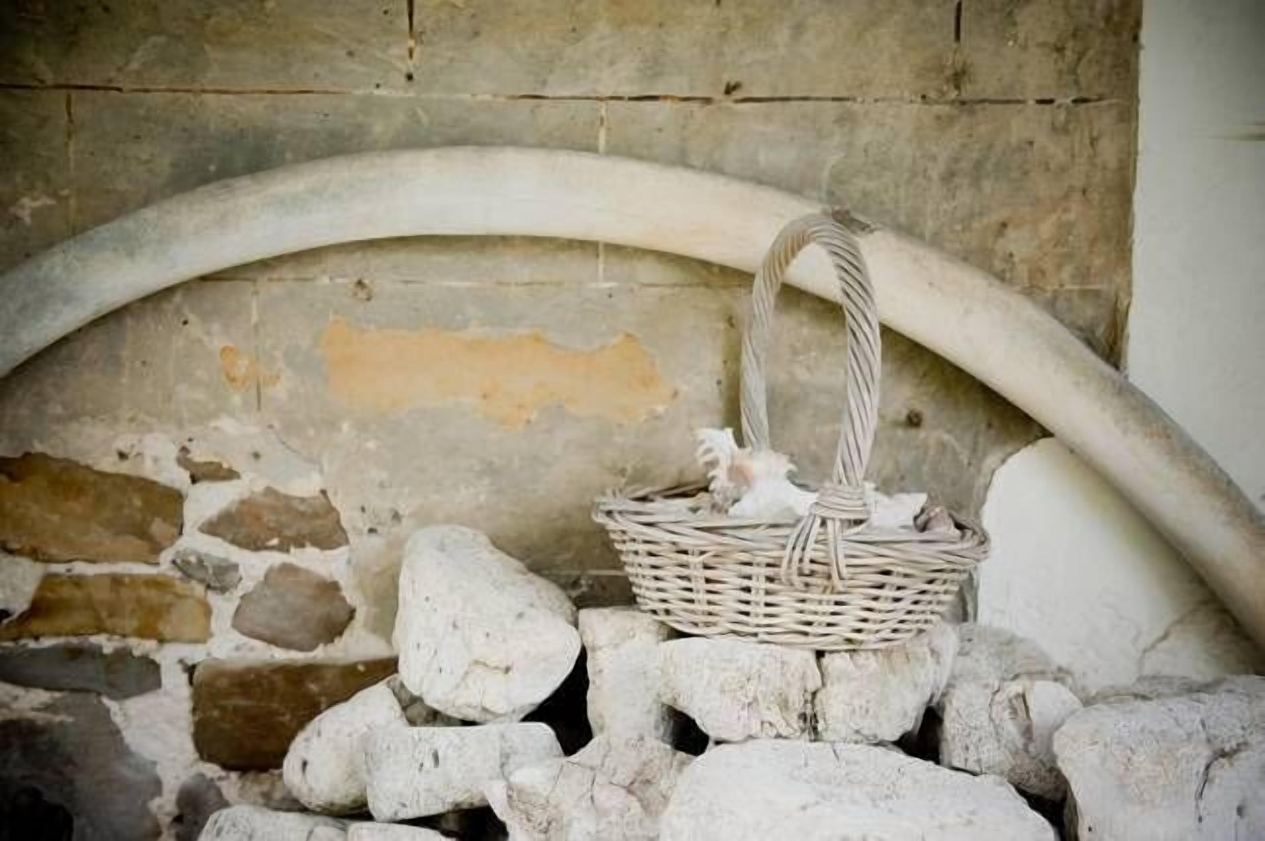 Boutique accommodation in historic beachfront cottage. Self-contained or B&B — image 26