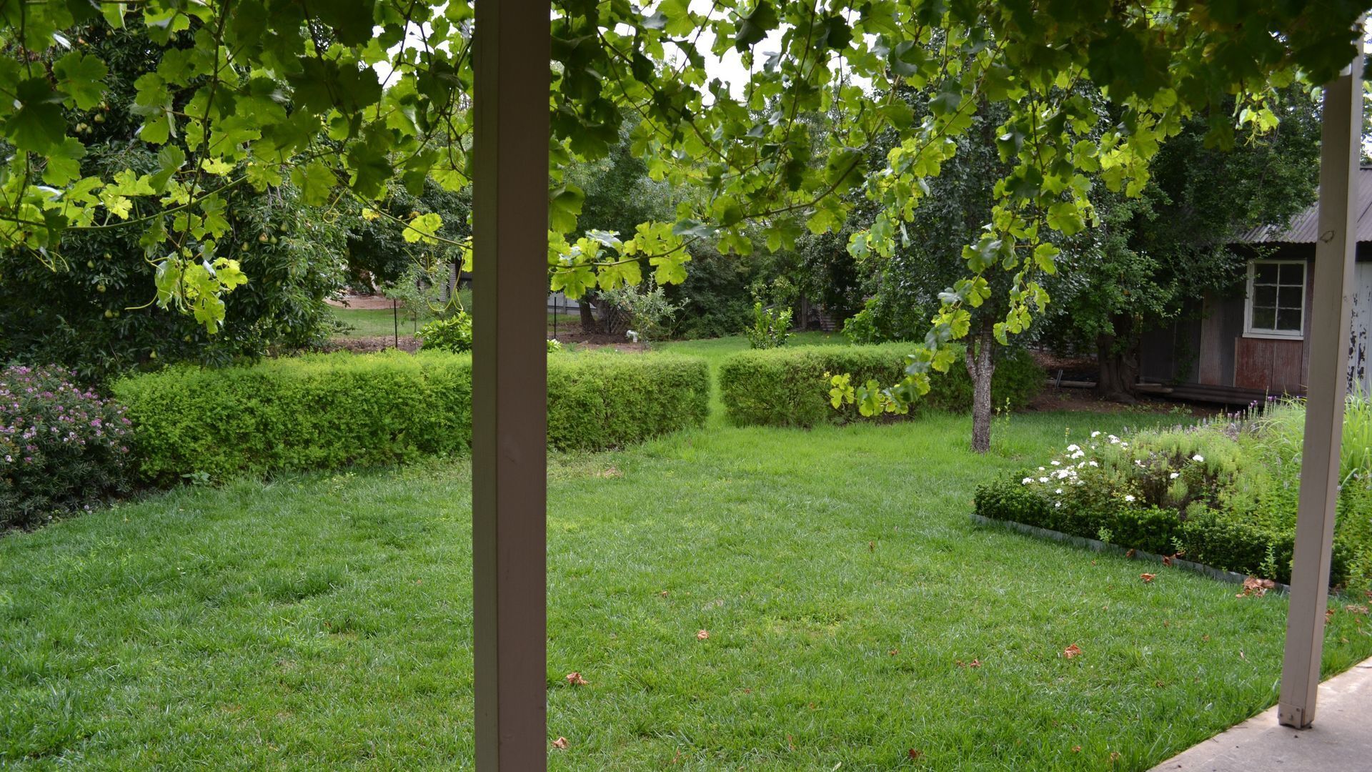 Tin House at Tanunda — image 25