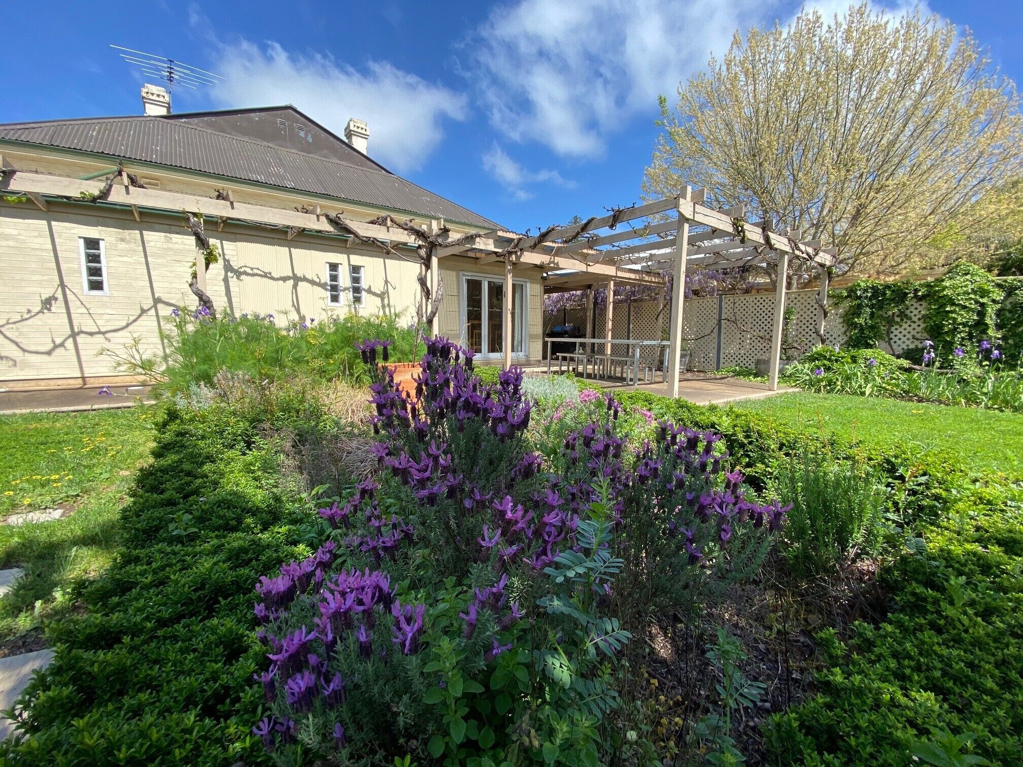 Tin House at Tanunda — image 5