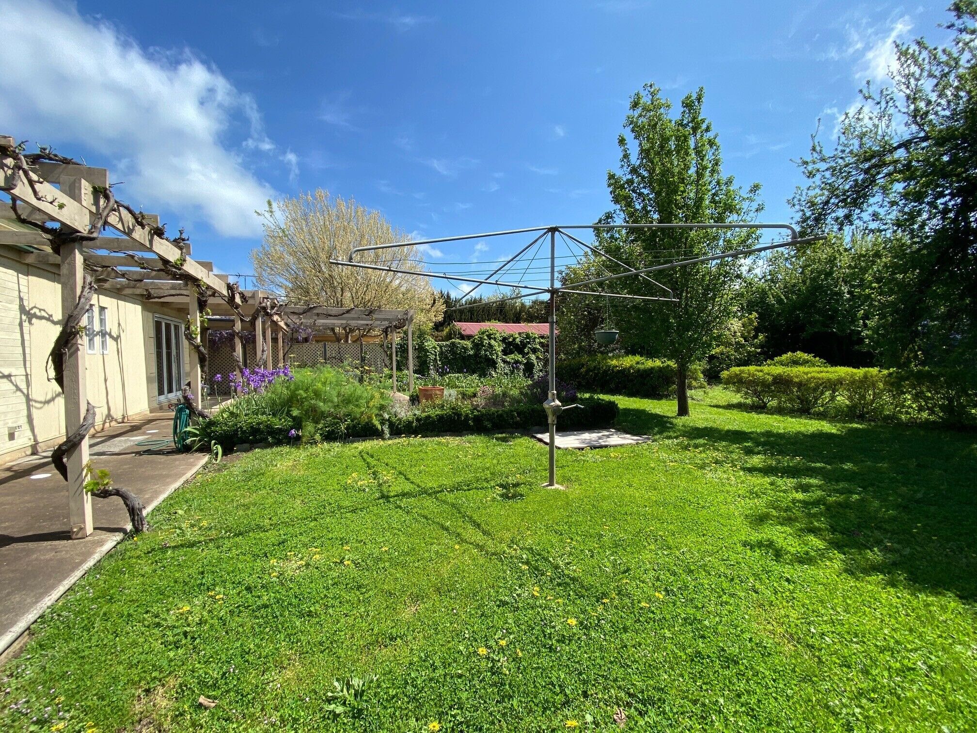 Tin House at Tanunda — image 28