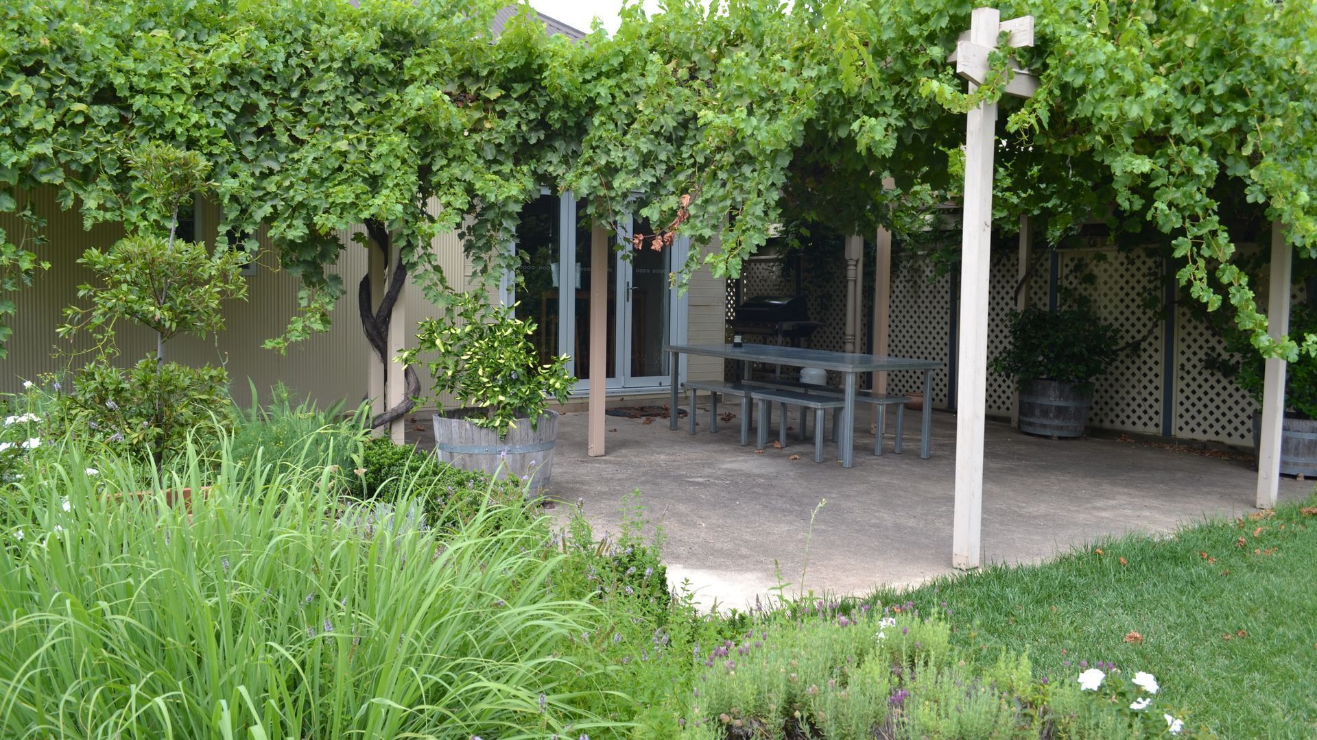 Tin House at Tanunda — image 4