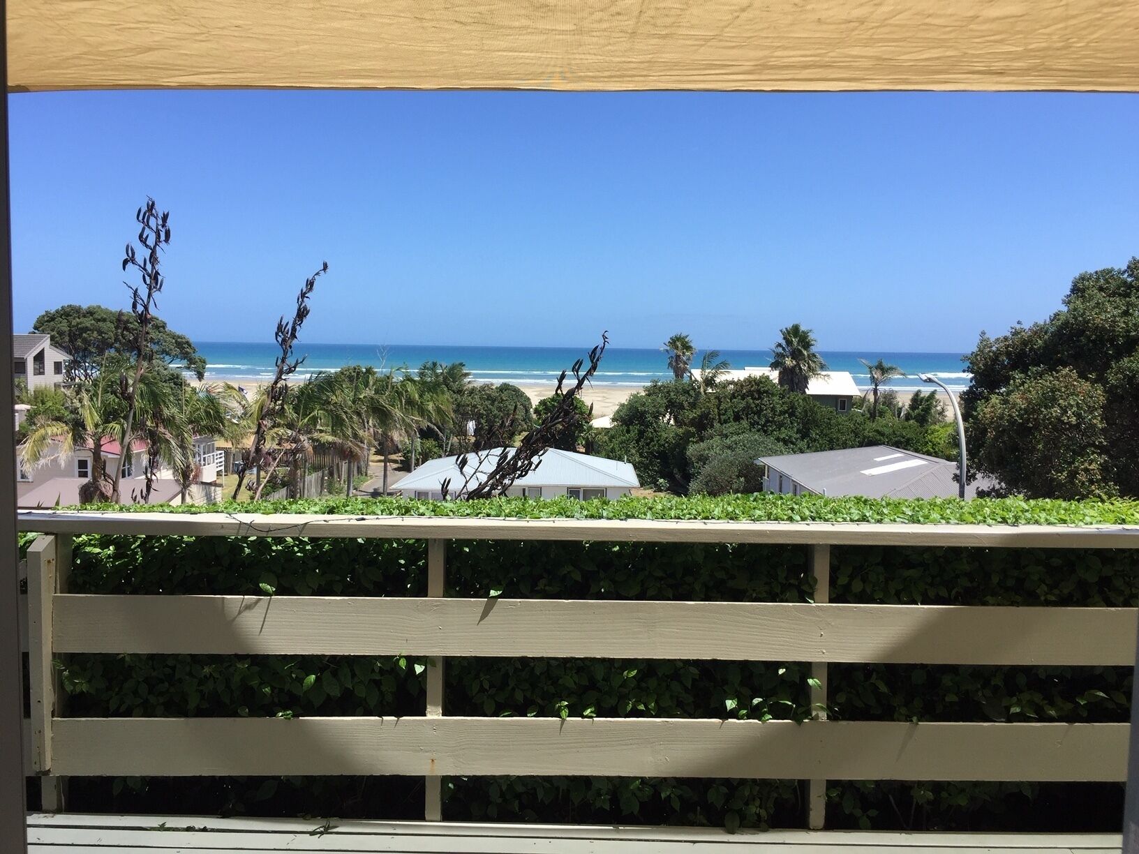 VIEW FROM DECK