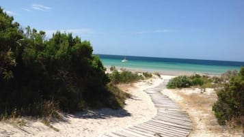 Plage à proximité, chaises longues, serviettes de plage
