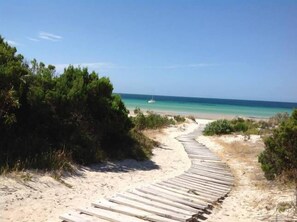 A sandy beach with a wooden boardwalk leading to the ocean, surrounded by greenery. - STRANDMARKEN, Beach House on Island Beach (Island beach)
