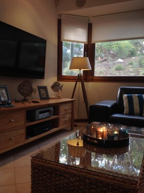 TV connectée, cheminée, lecteur de DVD, livres