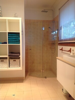 Shower, hair dryer, towels, soap