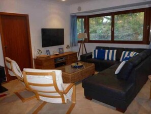 Smart TV, chimenea, reproductor de DVD, libros
