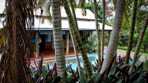 A pool surrounded by tall palm trees and lush greenery, with a building in the background. - The Rosebank Farmhouse (Rosebank)