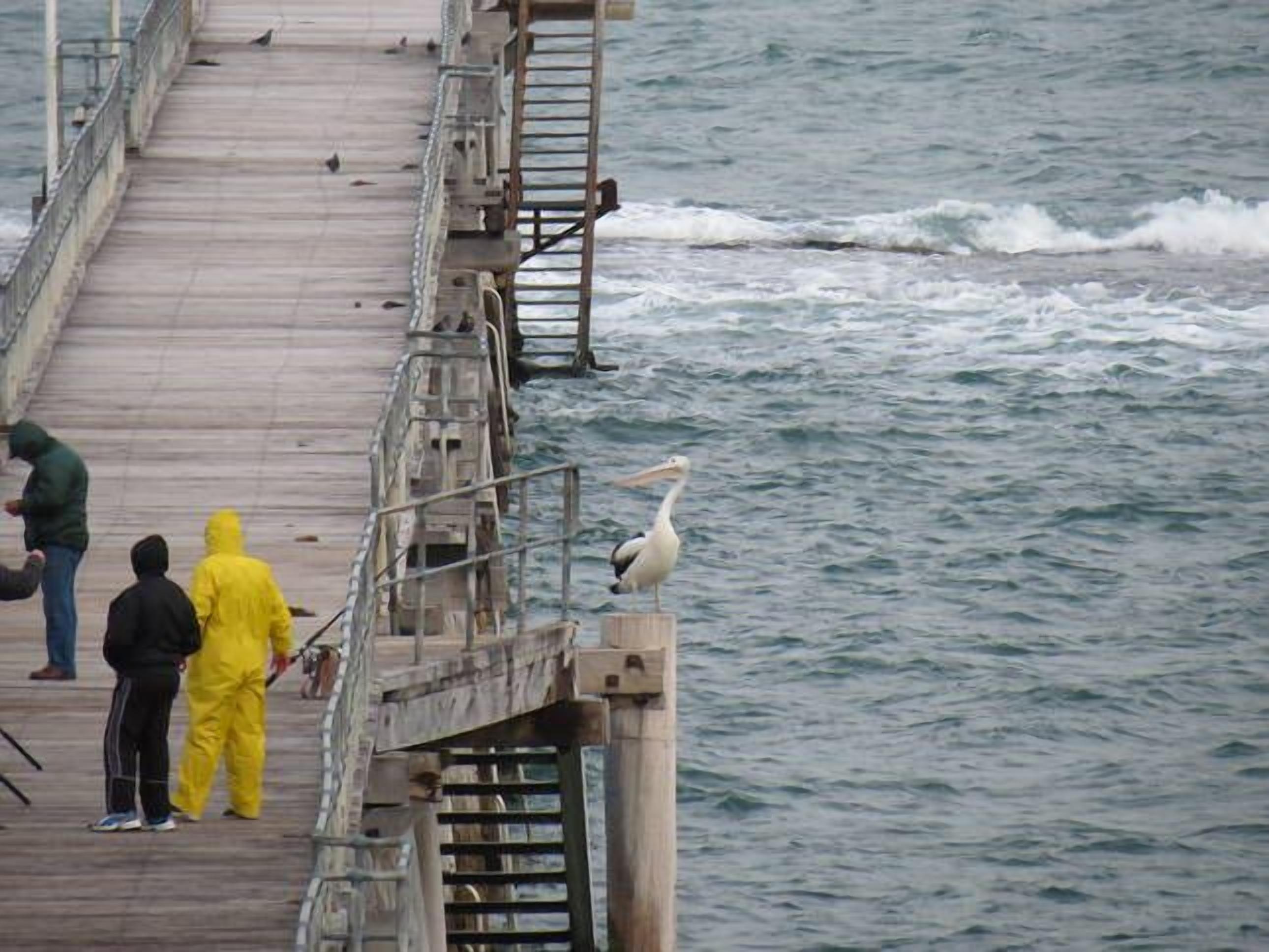 Heritage View at McCloud House — image 2
