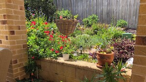 A brick wall with a small garden area containing various potted plants and flowers.