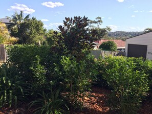 Área da propriedade