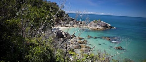 海灘