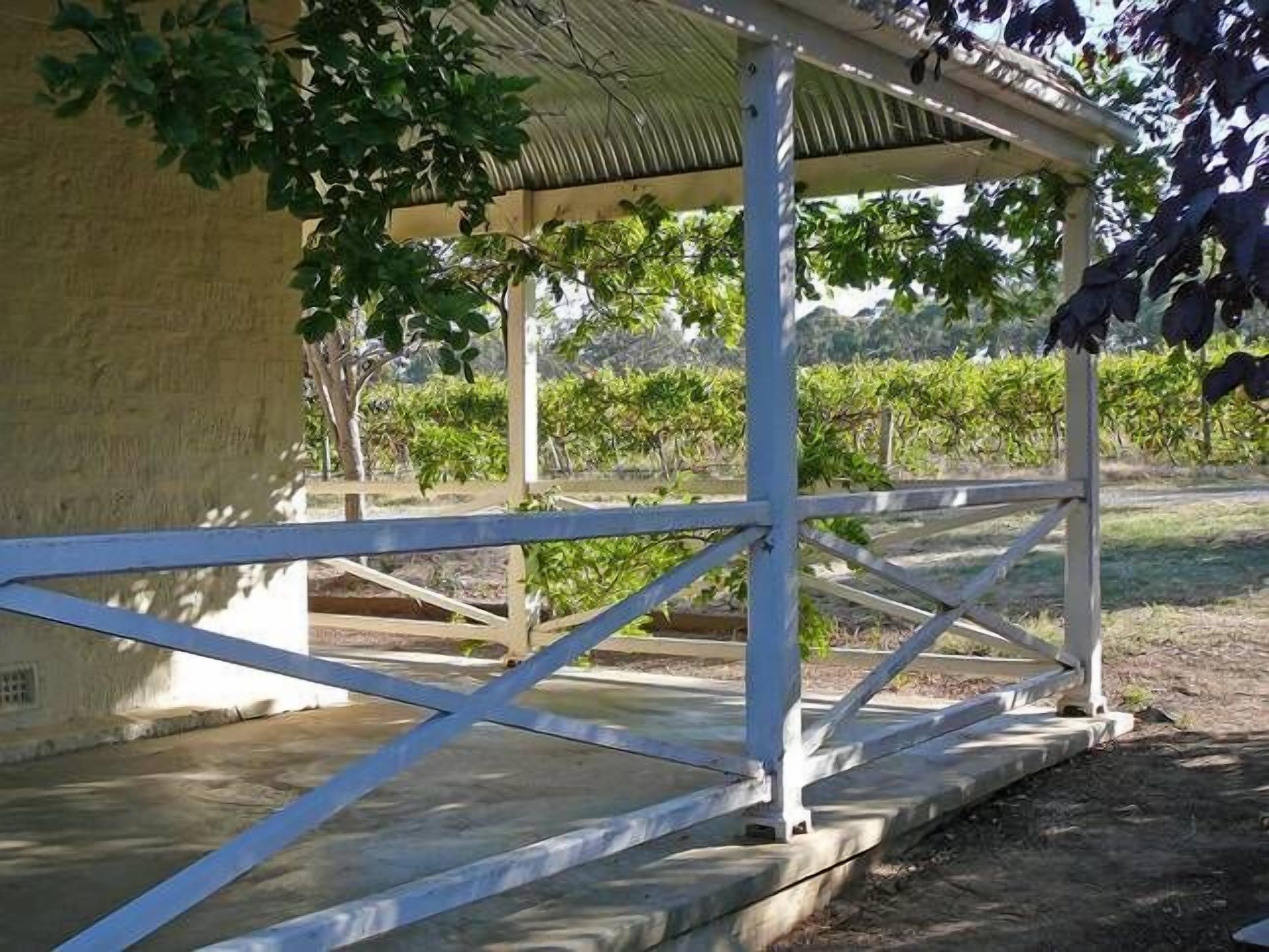 SWEET BRIAR IN THE VINES -  CLARE — image 2