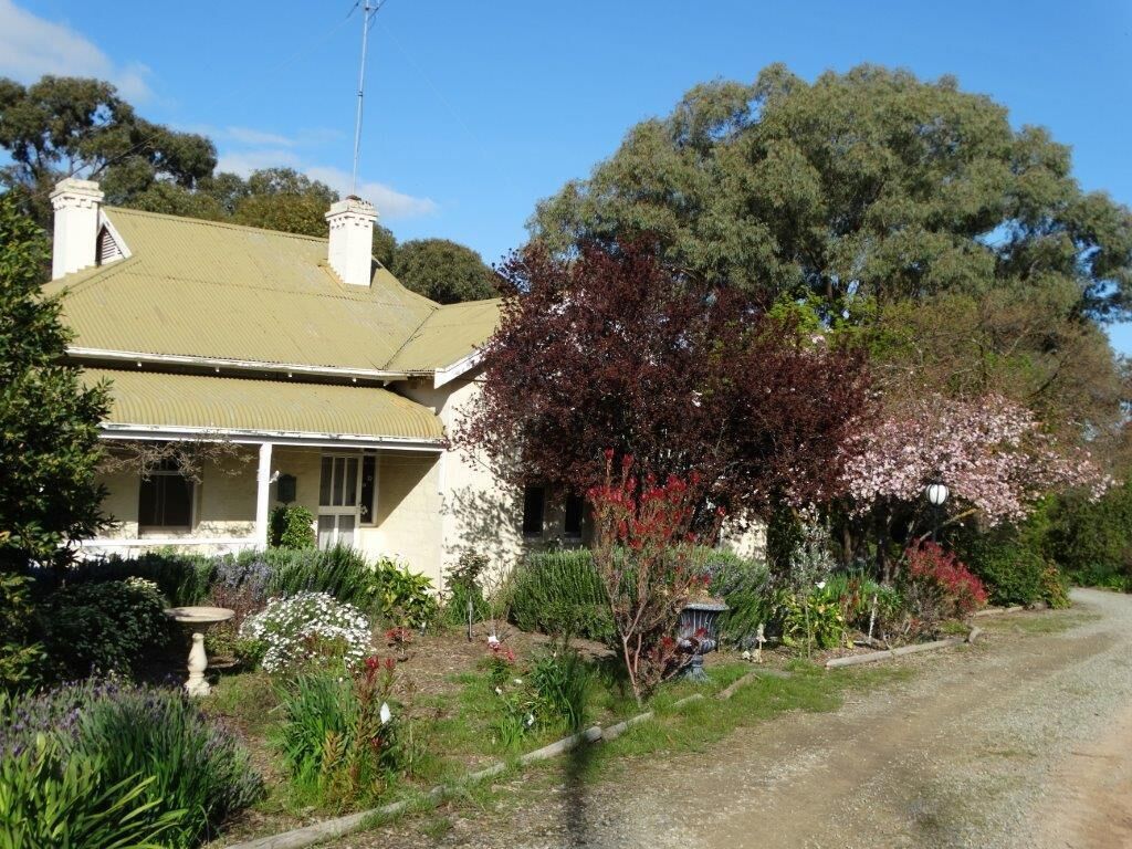 SWEET BRIAR IN THE VINES -  CLARE — image 29