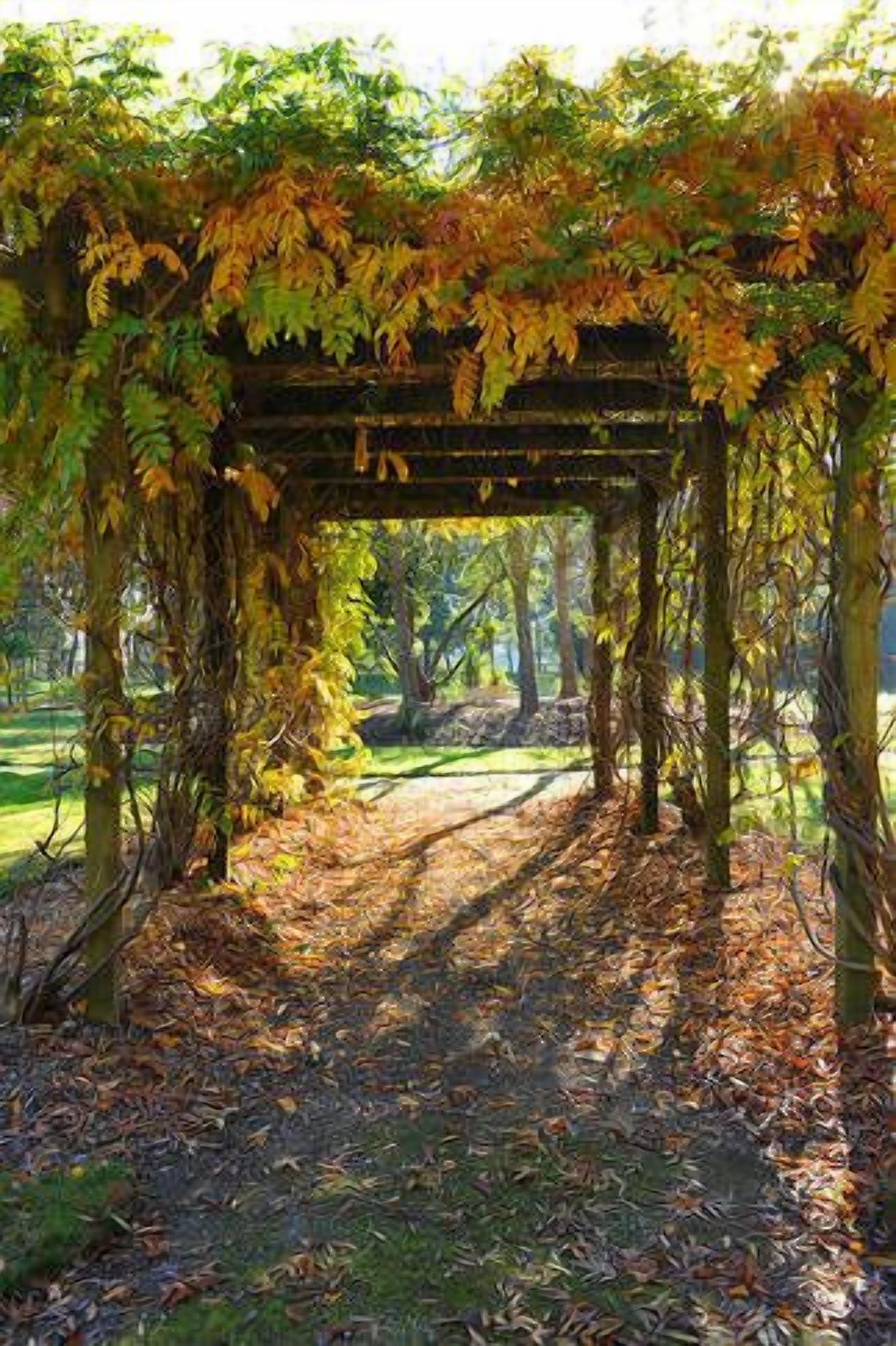 Luxury Lakeside Cottage B&B — image 21