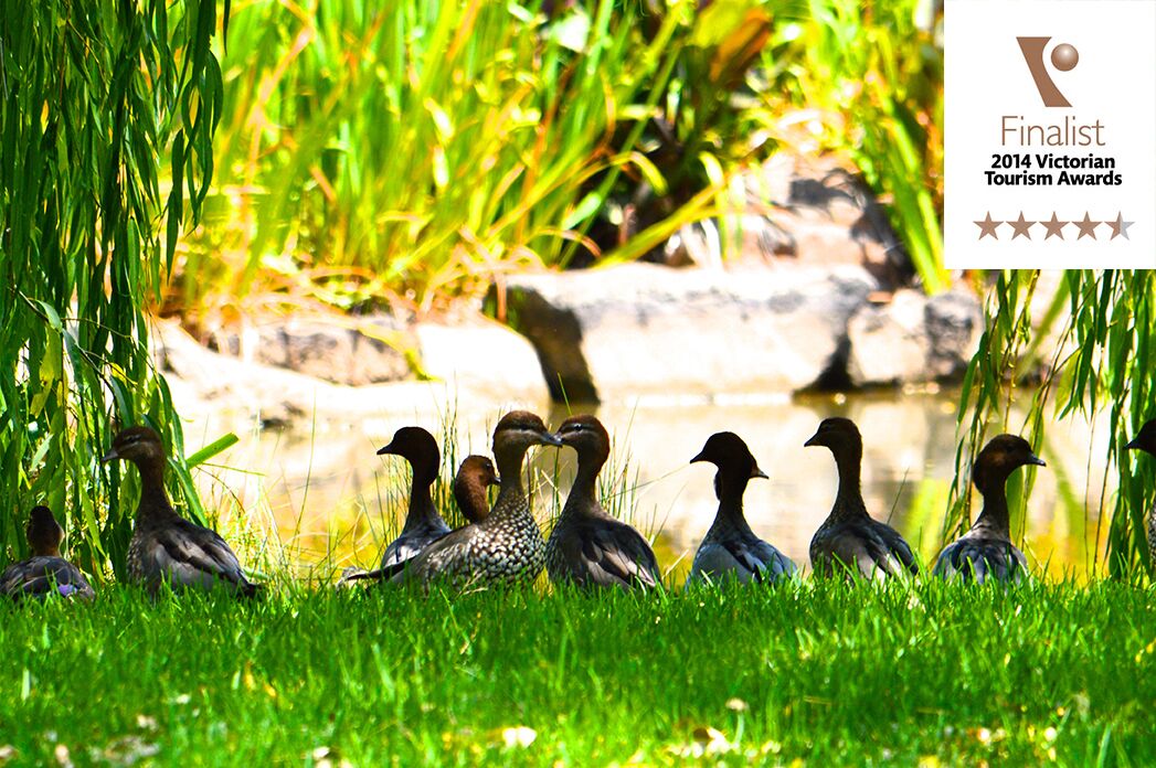 Luxury Lakeside Cottage B&B — image 23