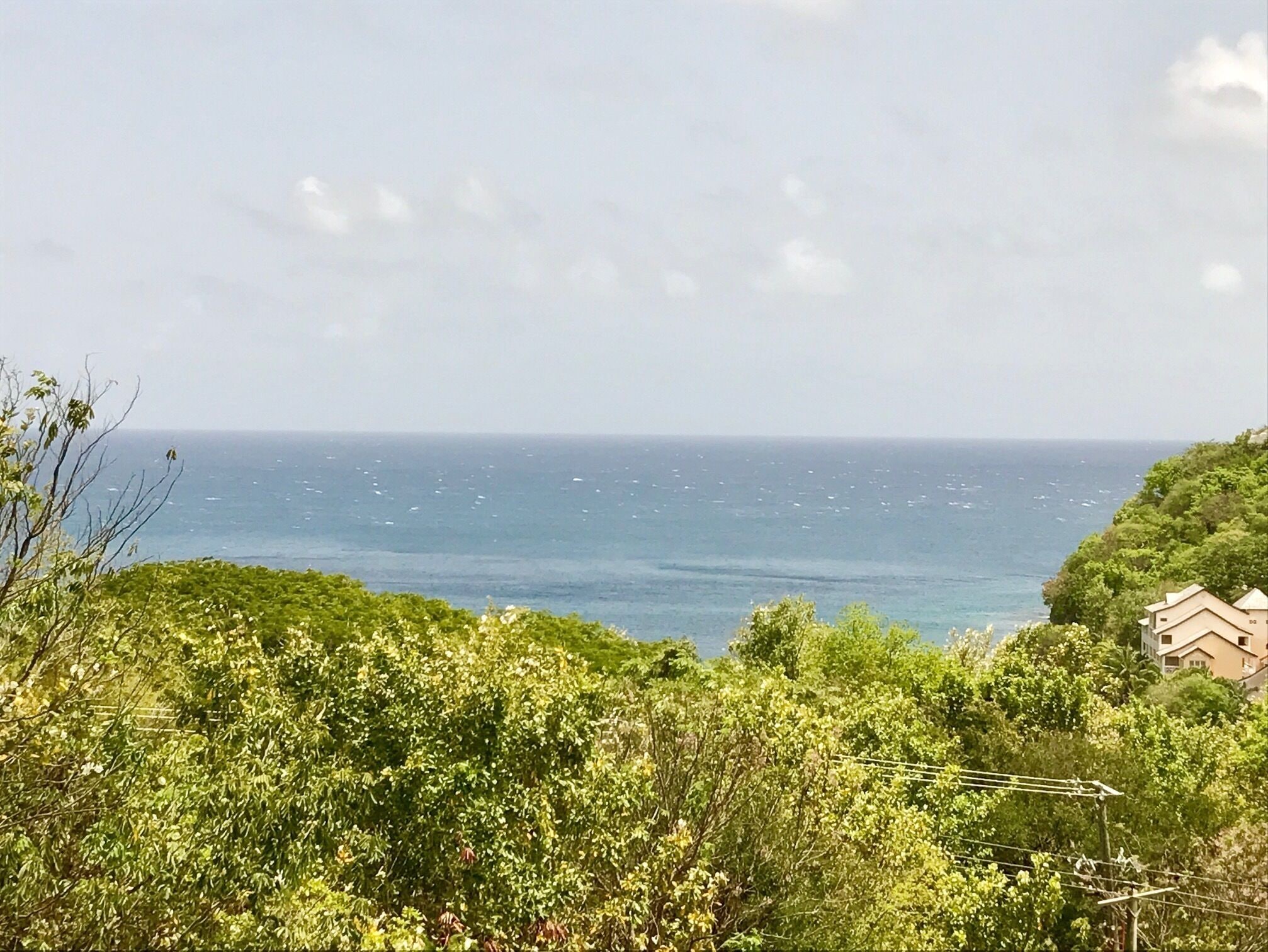 A coastal view with dense greenery in the foreground and a clear sky.