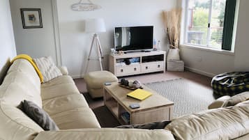 Smart TV, DVD player, ping pong, books