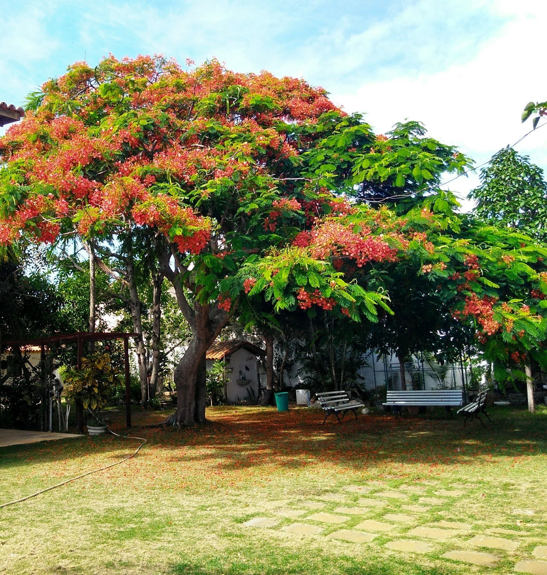 Parco della struttura