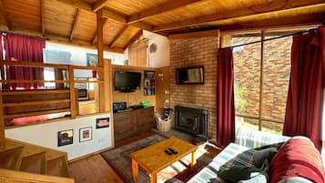 TV connectée, cheminée, lecteur de DVD, livres
