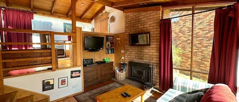TV connectée, cheminée, lecteur de DVD, livres