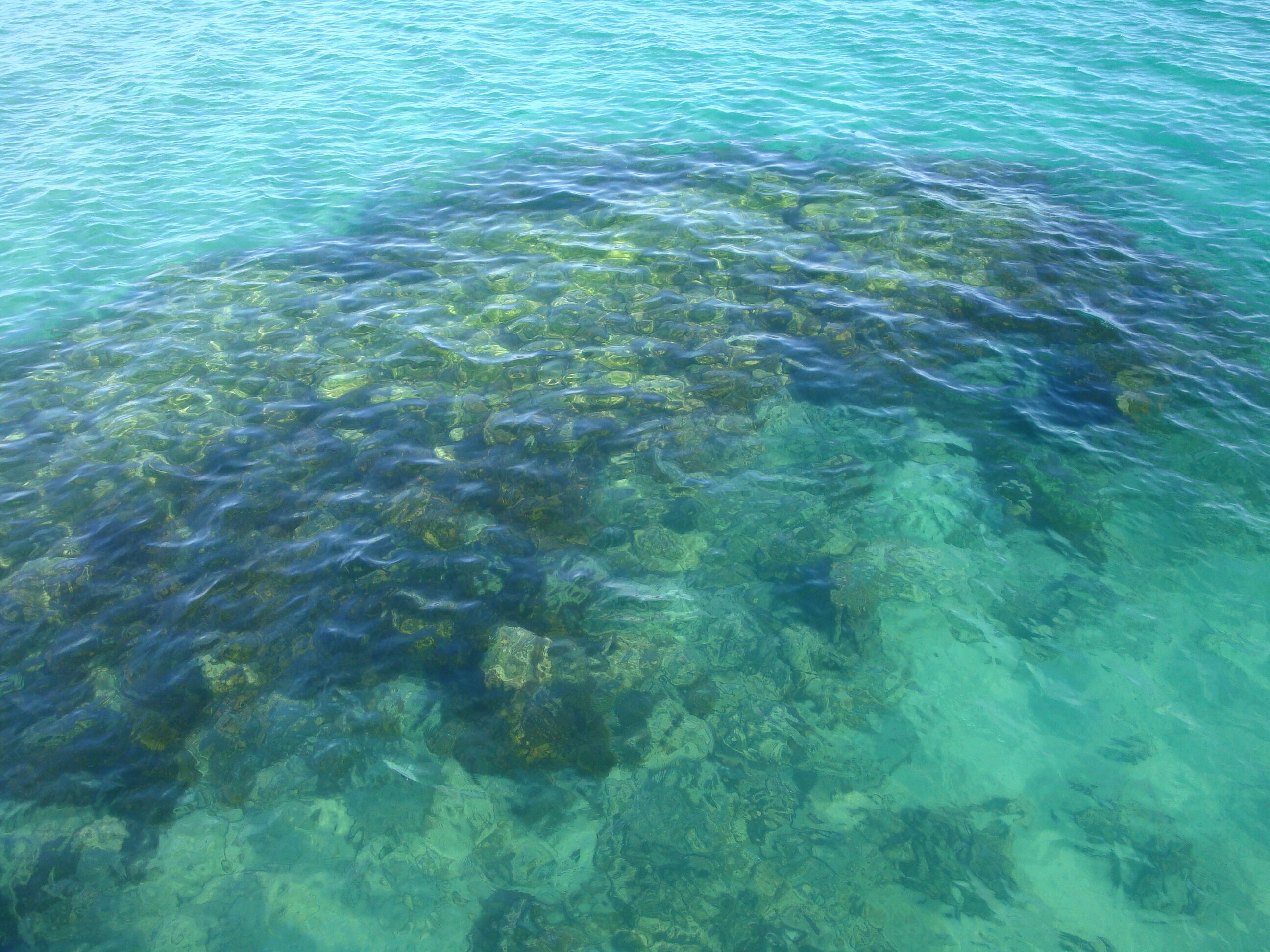 Garden Cottage: Holidays and relocation unit — image 6