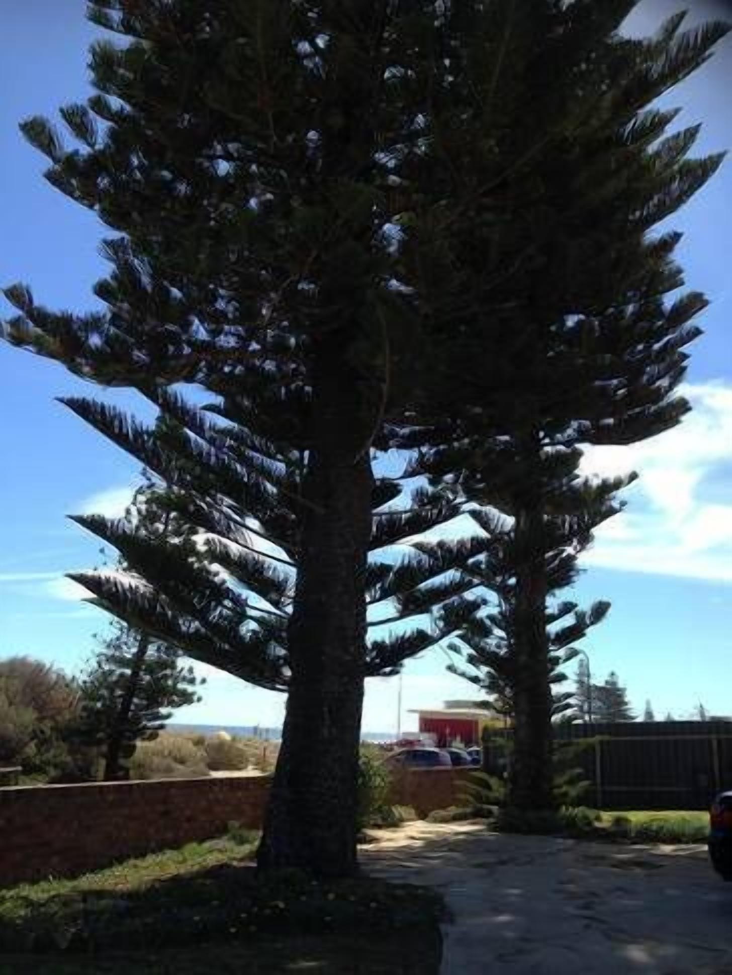 Absolute Beachfront Getaway Moana Beach — image 28