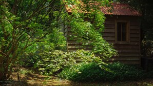 A rustic wooden cabin surrounded by dense foliage. - Lark Cottage - relaxing retreat (Burrawang)
