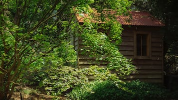 Escape to a secluded cabin surrounded by lush forest, perfect for a peaceful retreat.