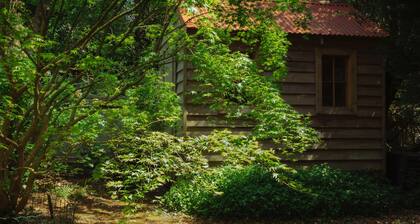 Lark Cottage - relaxing retreat