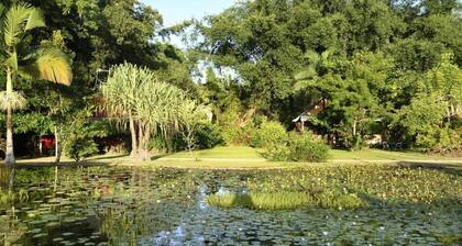 Lillypads Red Cottage - Rainforest Tranquility