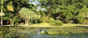 Lillypads - Mission Beach - Paraíso tropical