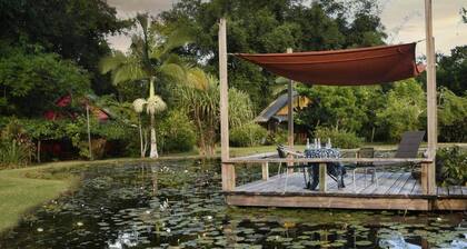 Lillypads - Mission Beach - Tropisches Paradies