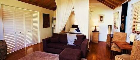 Una televisión, una chimenea, un reproductor de DVD, una videoteca