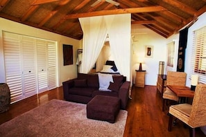 TV, fireplace, DVD player, video library