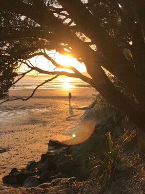 Ein Strandbild mit einer Person, die auf den Sonnenuntergang zuläuft, eingefasst von Ästen.