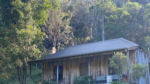 A rustic wooden cabin with a porch, surrounded by lush greenery and trees. - Willow Cottage @ Hidden Valley Retreat Cottages (Grose Vale)