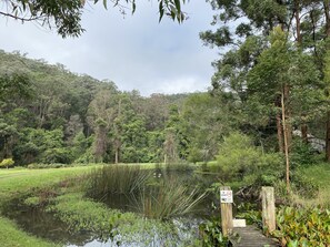 Terrein van de accommodatie