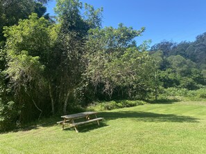 Ein Picknicktisch in einer grünen Wiese, im Hintergrund dichte Bäume.
