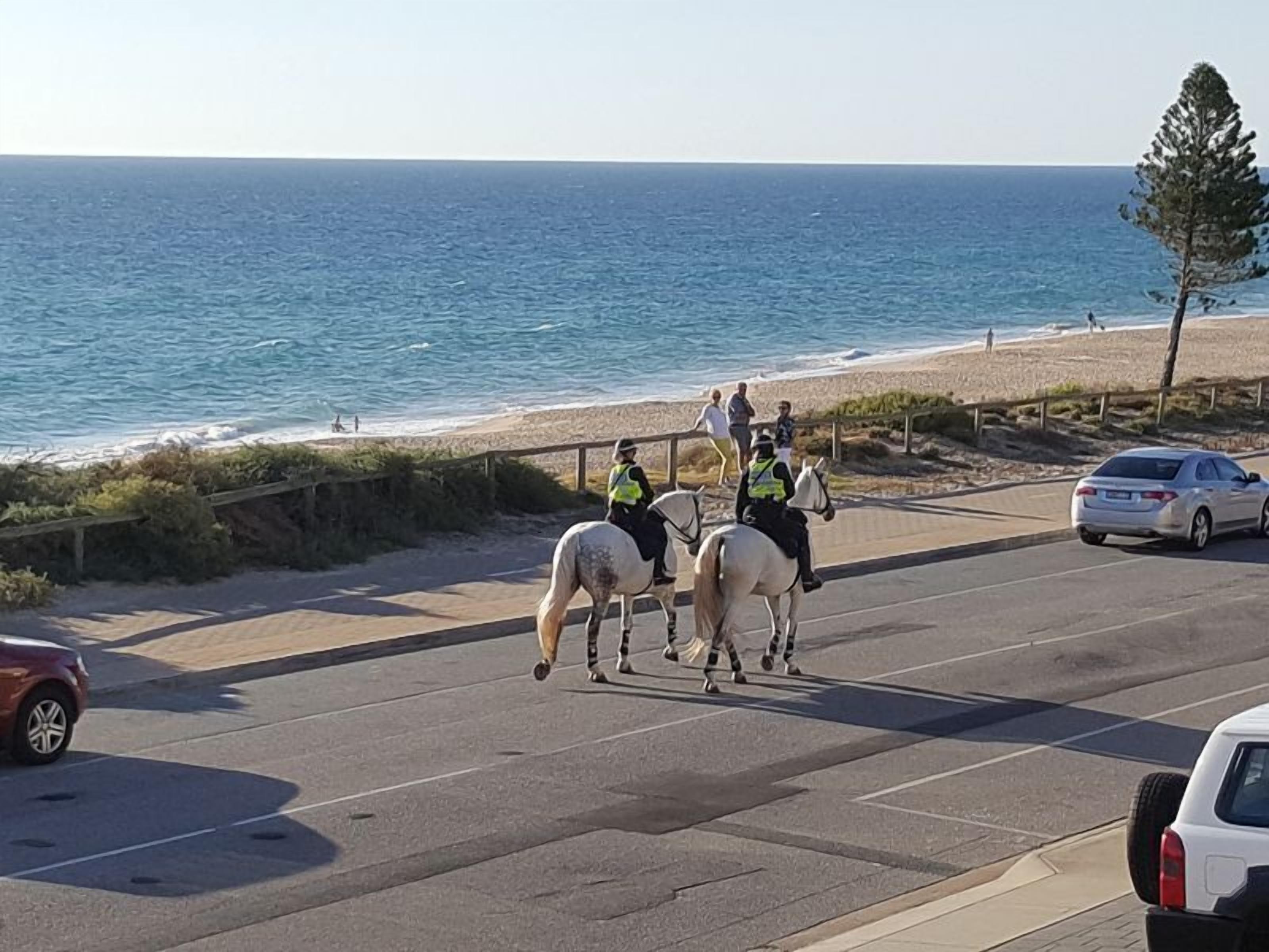 Beachside Escape Right On The Esplanade — image 2