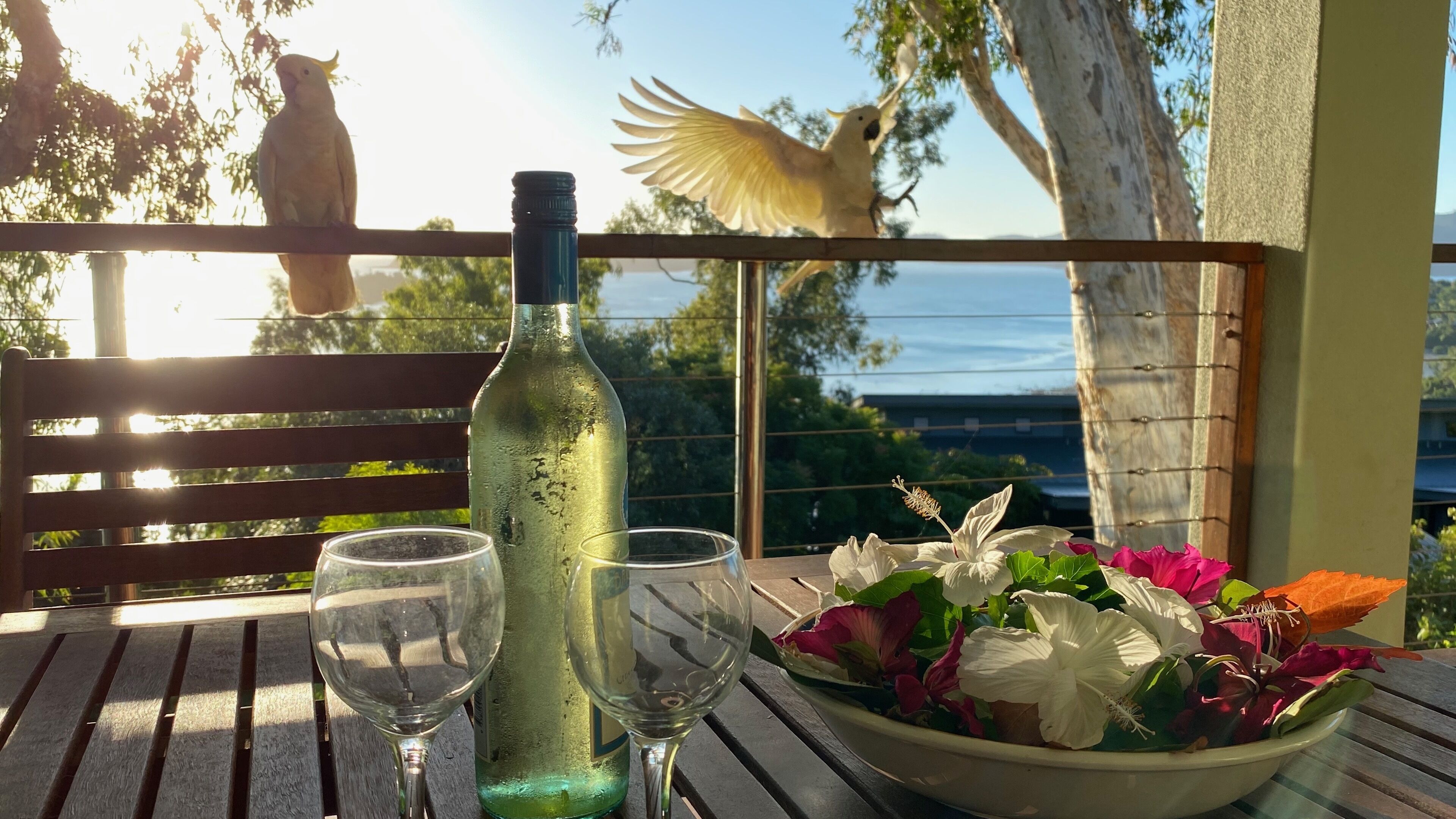 Une table avec une bouteille, deux verres et un vase de fleurs.