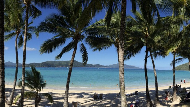 A beach with palm trees, clear blue water, and a distant mountain range. - COMPASS PT 5 - HAMILTON ISLAND - GREAT BARRIER REEF - WHITSUNDAYS - WHITEHAVEN (Hamilton Island)