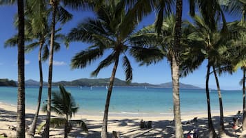 Beach nearby, sun-loungers