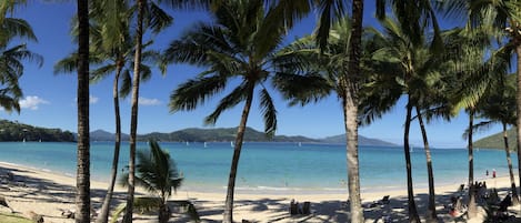 Beach nearby, sun-loungers