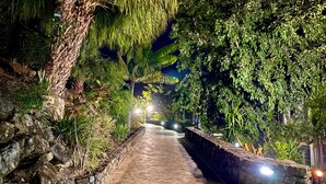 A stone pathway flanked by lush greenery and illuminated by overhead lights. - COMPASS PT 5 - HAMILTON ISLAND - GREAT BARRIER REEF - WHITSUNDAYS - WHITEHAVEN (Hamilton Island)