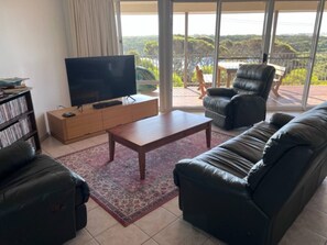 Télévision, lecteur de DVD, chaîne hi-fi