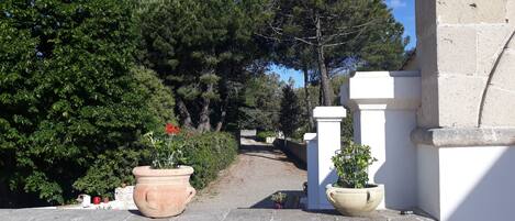 Superior Double Room (Camera Doppia Superior) | Terrace/patio