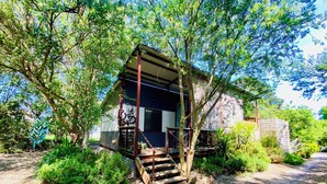 A rustic cabin with a wooden porch, surrounded by lush greenery and trees.