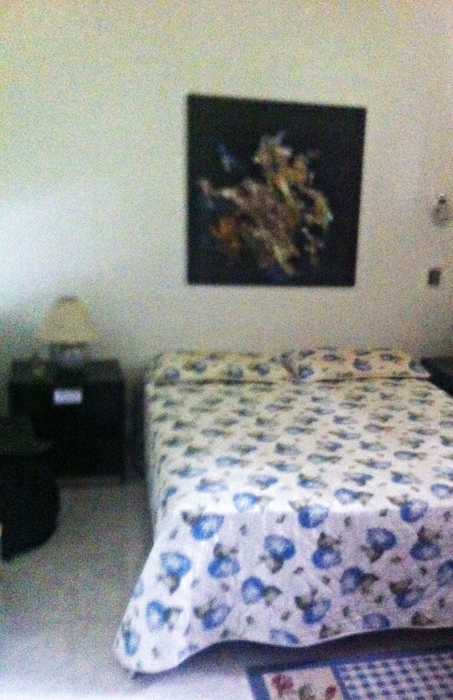 A Paradise in Teresopolis - 6/4